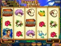 Land Of Fun Multigame from IGS view 2