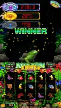 Platinum Touch 2k20 Vertical Multi Game view 1